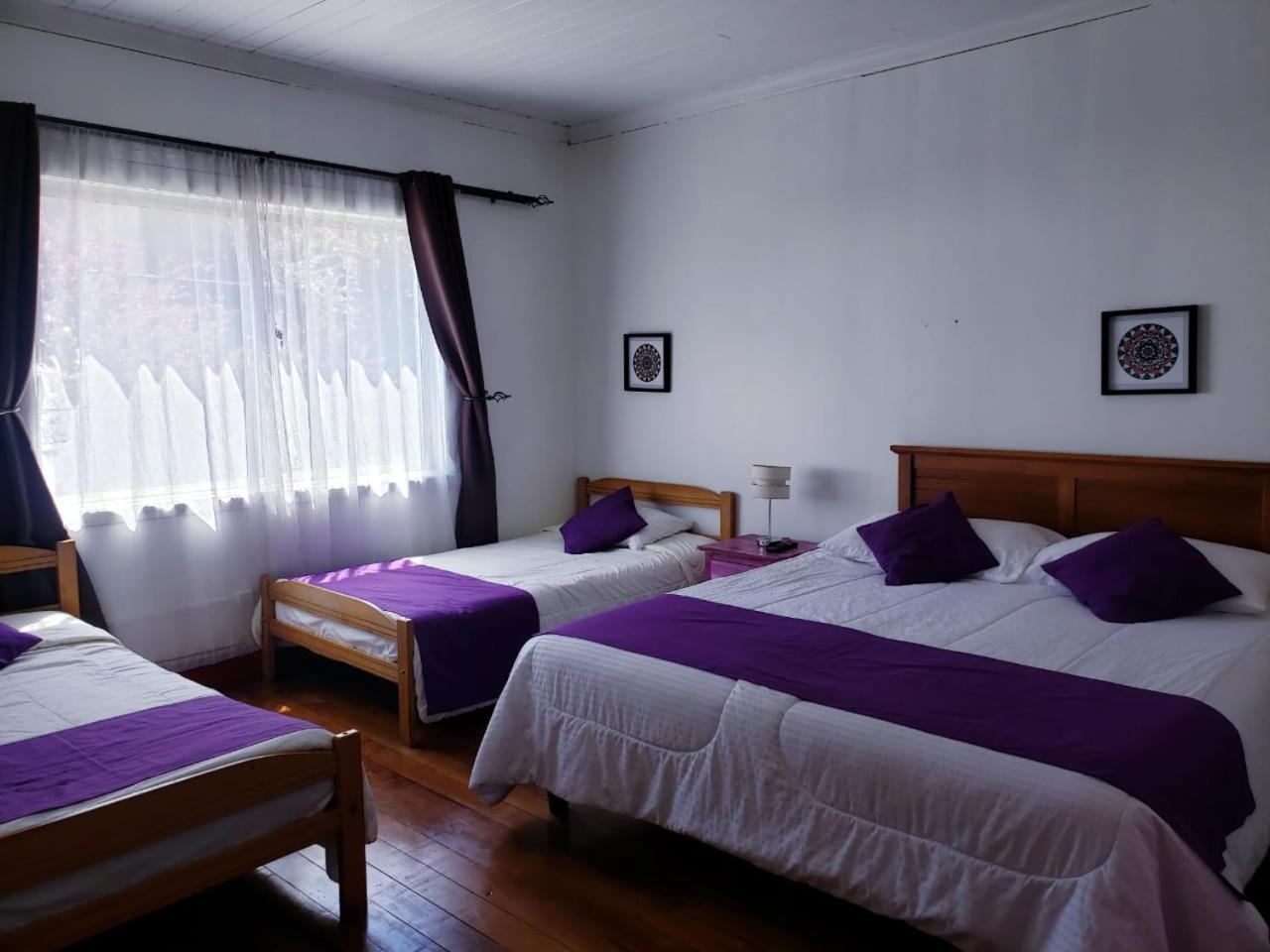Hostal Arrayan Вальдивия Экстерьер фото